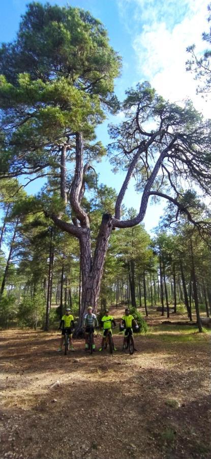Apartament Luz De Carboneras Carboneras de Guadazaón Zewnętrze zdjęcie
